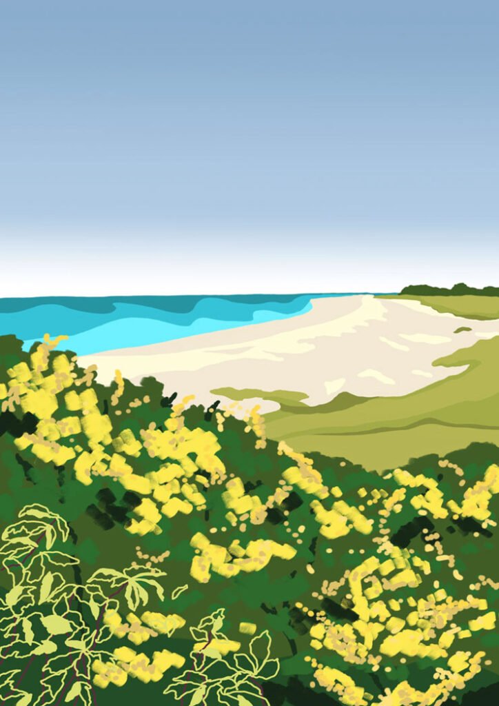 Illustration d'une plage en Bretagne dans le Finistère